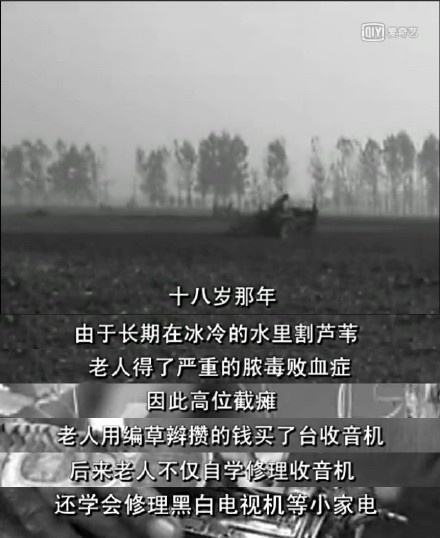 电影忠爱无言的原型纪录片老人与狗