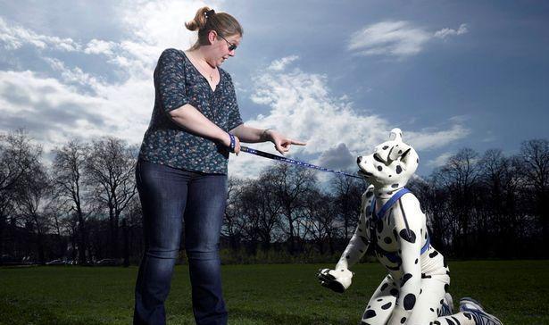 英国上万男子自愿变人犬就是有种渴望被当狗