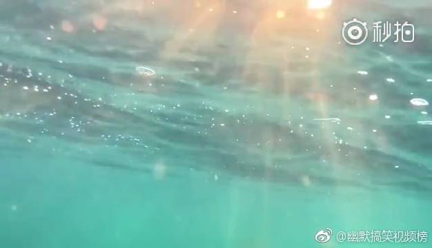 在推特上上传了NBA2K19各队预计首发阵容的