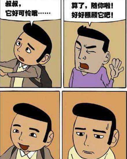 搞笑漫画:像猫一样的老虎
