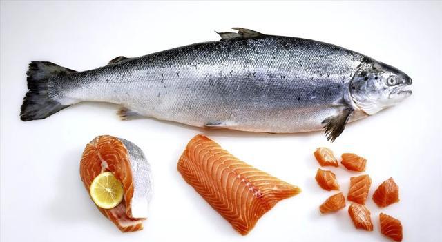 脂肪你的宠物茁壮成长必需的坏营养