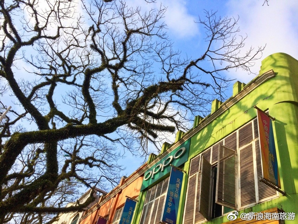 高大婀娜的藤萝雨树,把博鳌中原镇装扮得像一个梦幻的童话王国