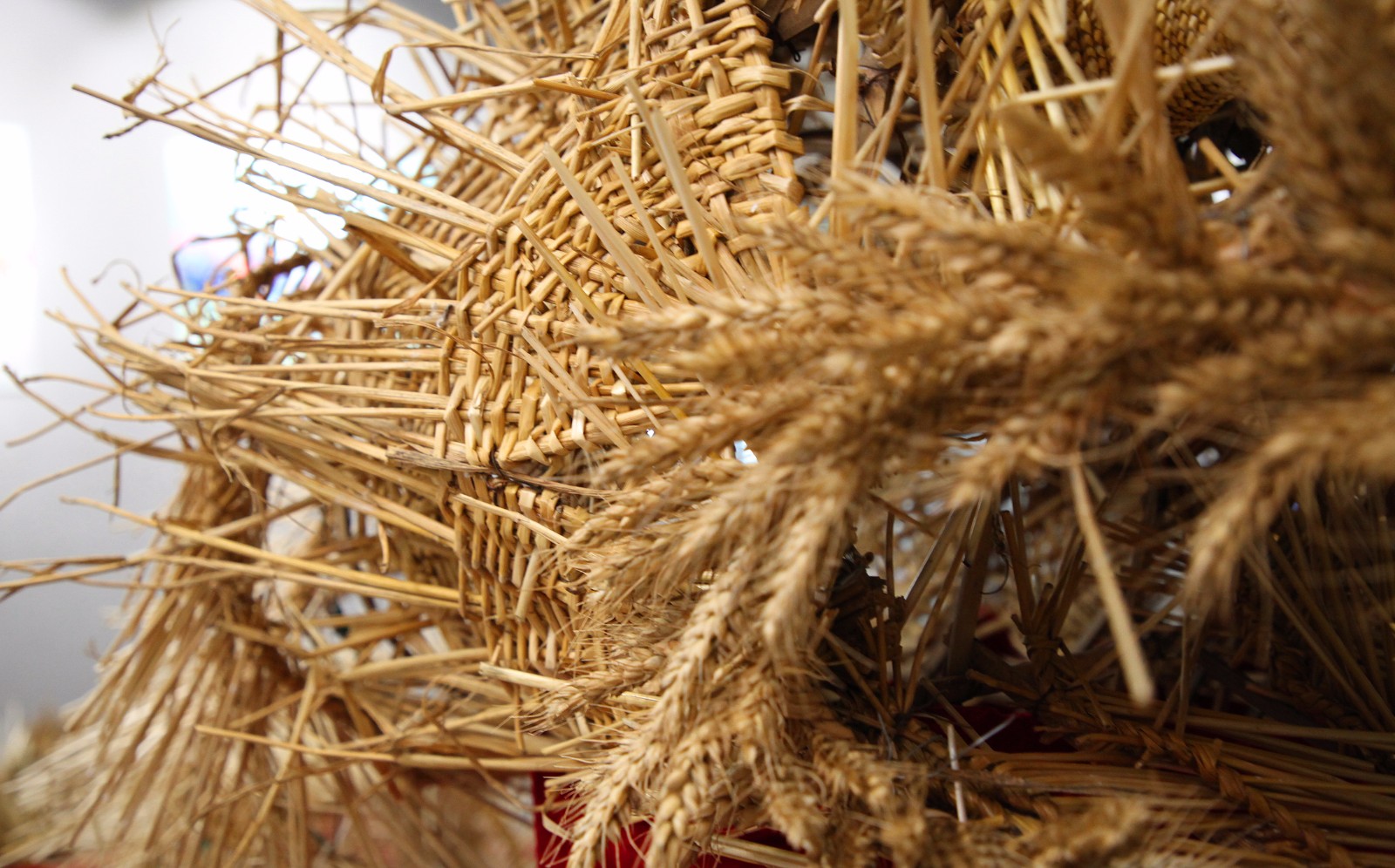 河南有种麦秆编的龙舞起来惊天动地