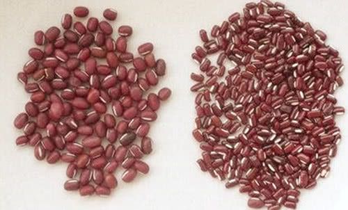 霍思燕减肥法7天瘦6斤,9成人都放错食材,吃错