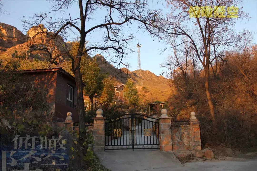 探访太行山金华寺森林 原始自然胜过世外桃源