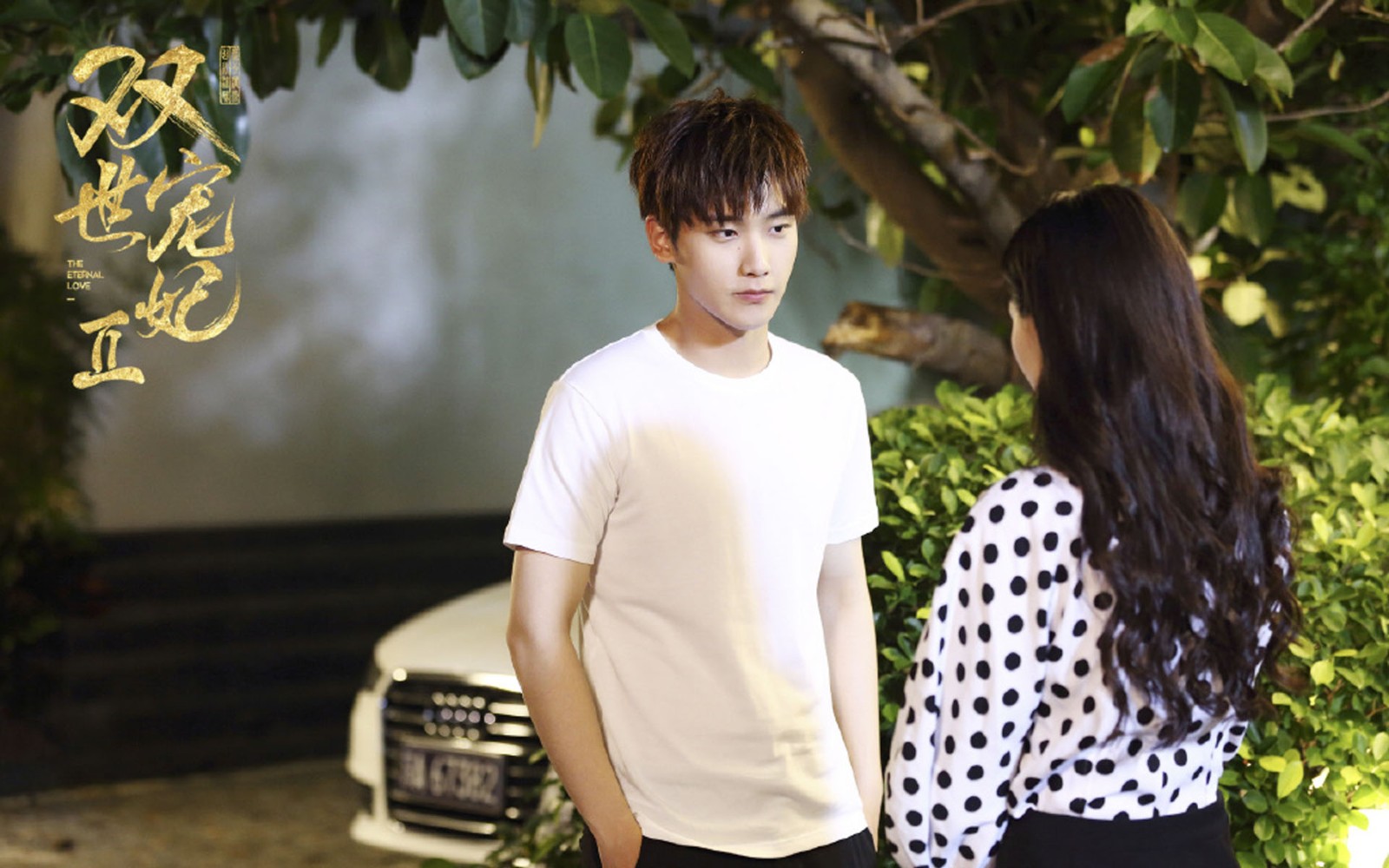 邢昭林 双世宠妃2 高清壁纸图