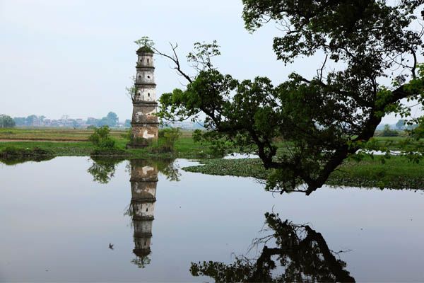 江西泰和麻州金滩古林, 行走在水墨丹青与摄影天堂之中