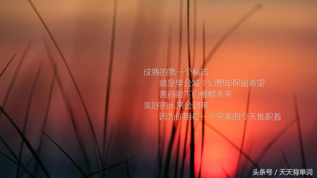 十句正能量人生语录,看透生活