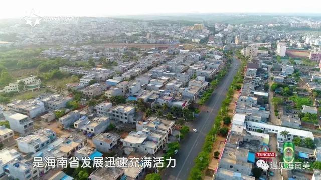 澄迈,中国第一个“世界长寿之乡”,人均寿命80岁!|澄迈|咖啡|福山_新浪新闻
