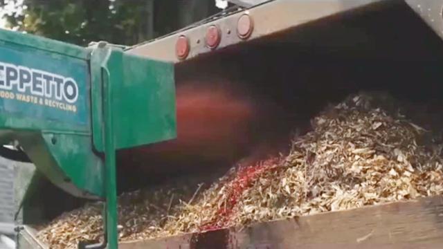 《死侍2》模仿猫扮演者Morena Baccarin精彩-