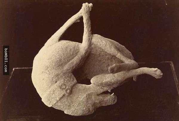 庞贝古城出土一对相拥的男女骸骨,没想到一抱就是1600多年!