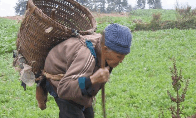 80农村老人含辛茹苦为哪般? 子女弃之, 凄惨逝去