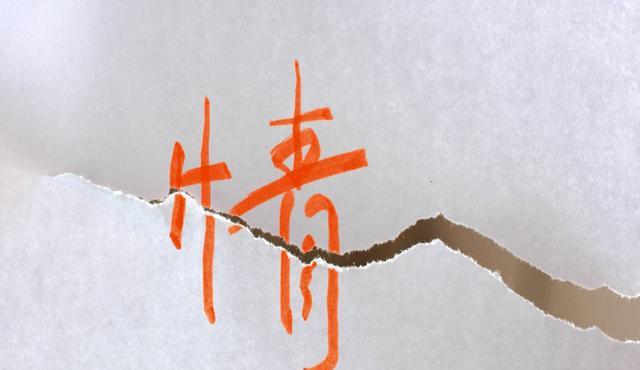 感情婚姻太坎坷, 离异多年任不顺的生肖, 感情将如何纠缠?