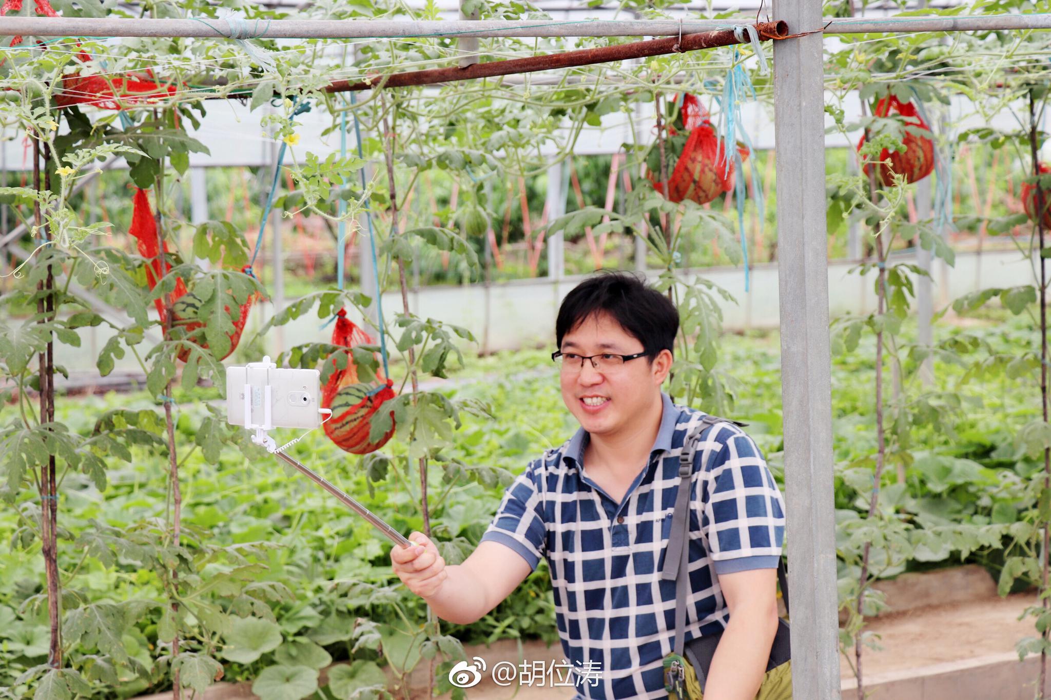 乐安河下游南岸,是"江南菜乡"乐平一个重要蔬菜生产基地,发展无公害