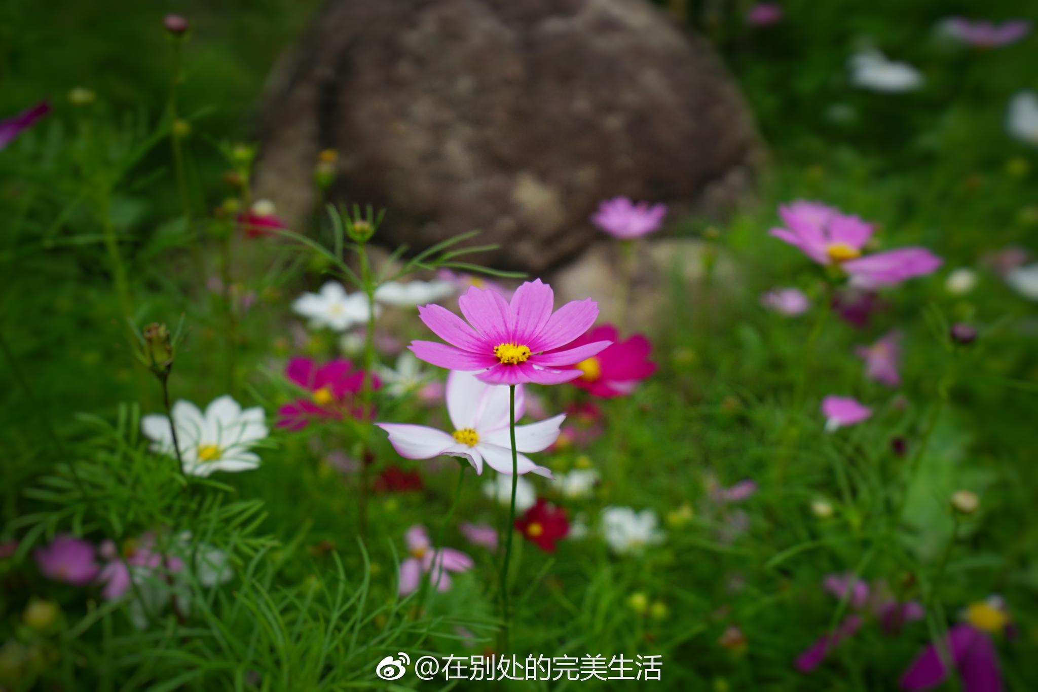 社会主义新农村,感受一下石台的慢生活