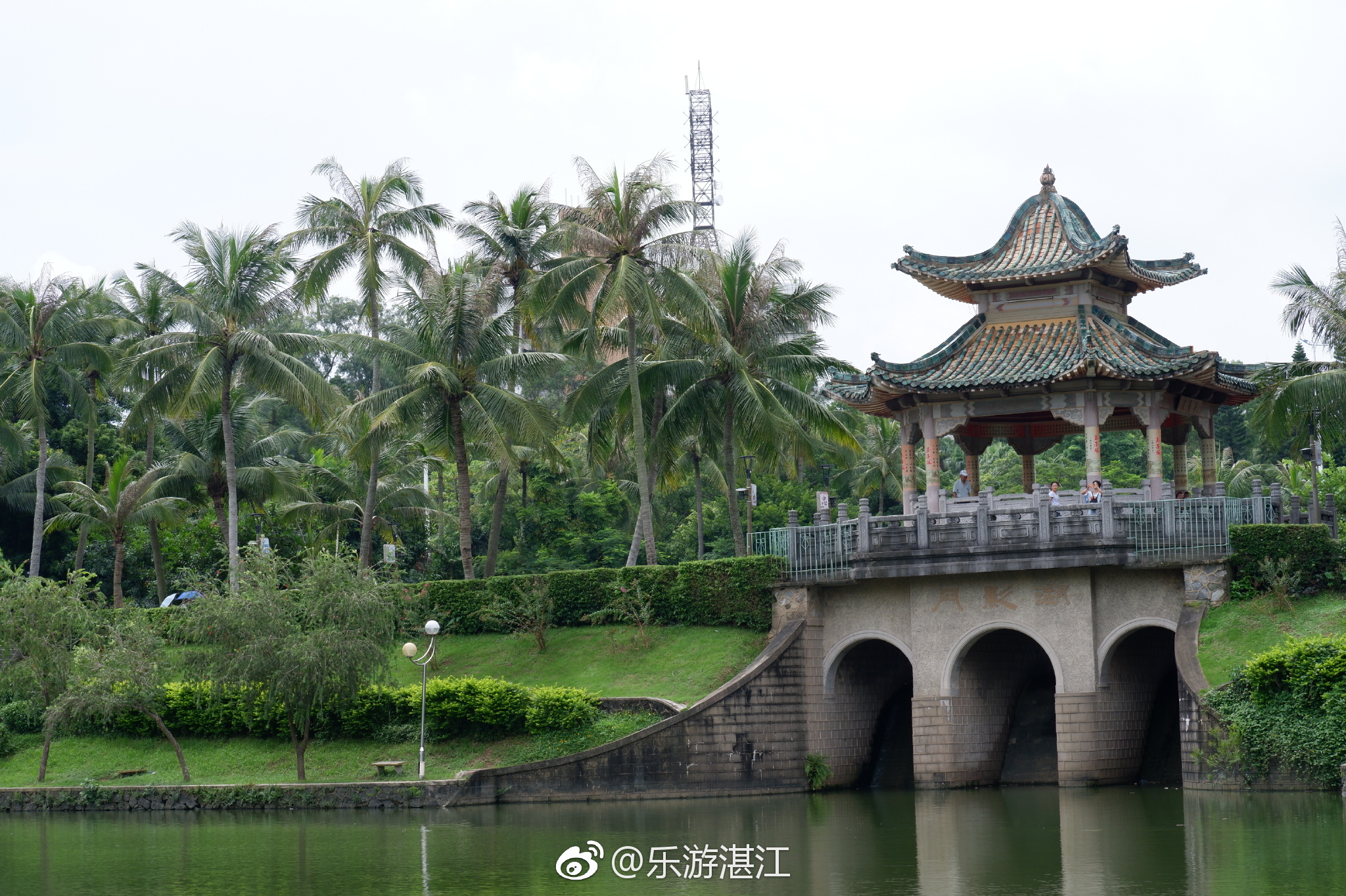 环境优美,空气清新的寸金桥公园|寸金桥公园|湛江|公园_新浪新闻