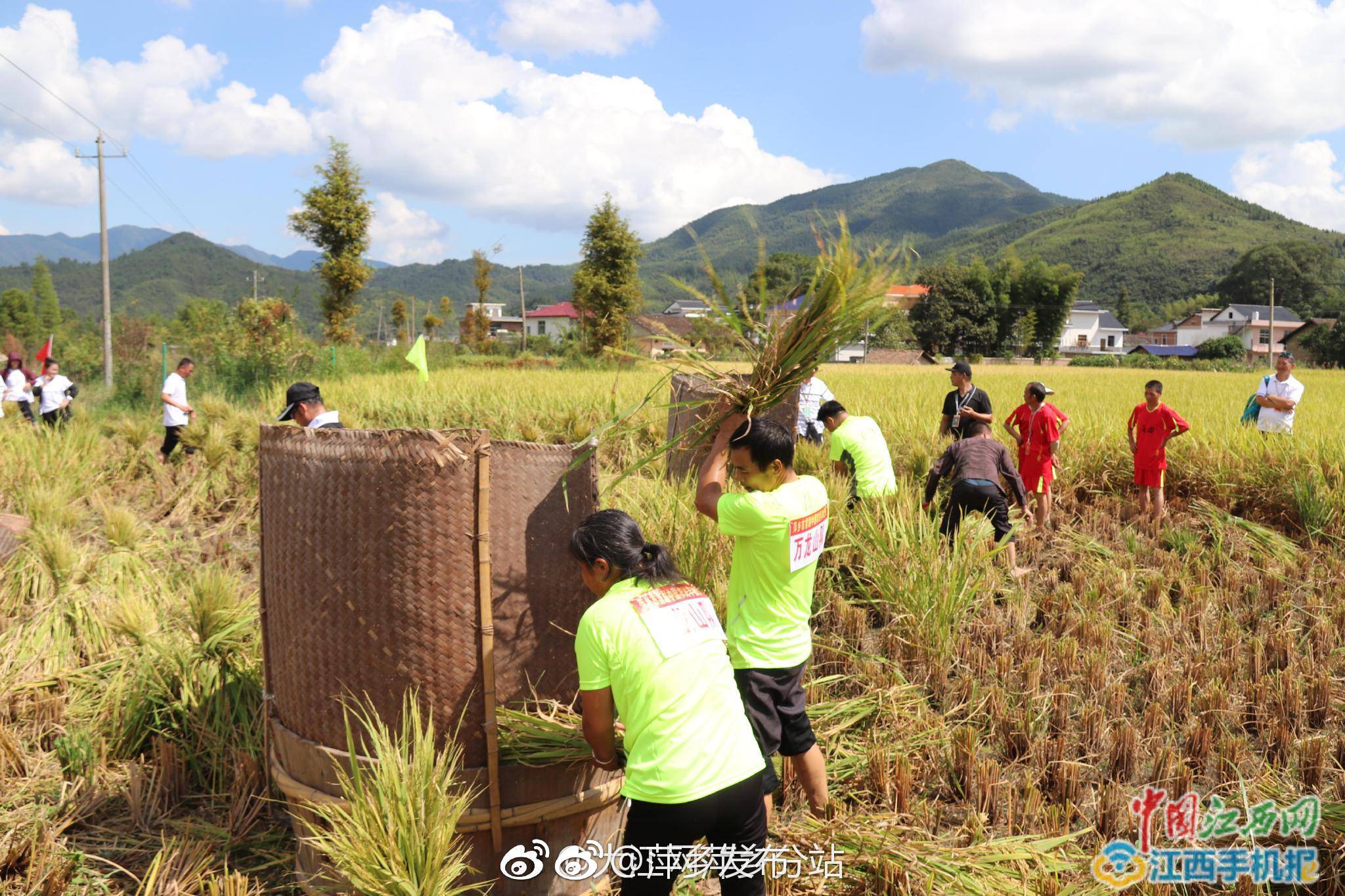 中国农民丰收节 萍乡传统农耕文化唤醒乡村记忆(图)