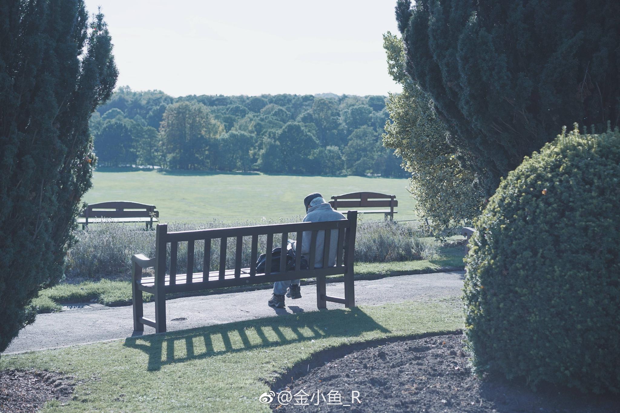 一个人的寂静时分,总是思绪万千 by:@金小鱼_r