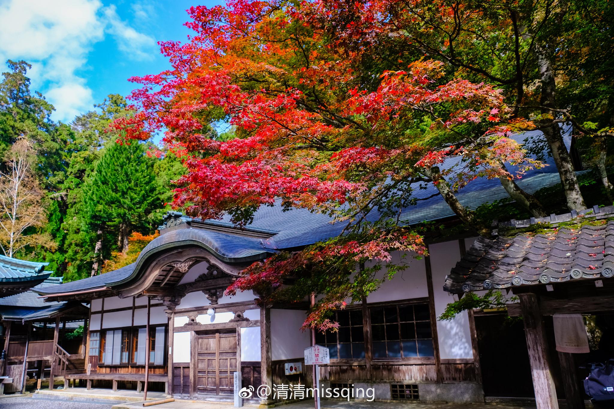 发一组枫叶初红的比睿山延历寺的美图