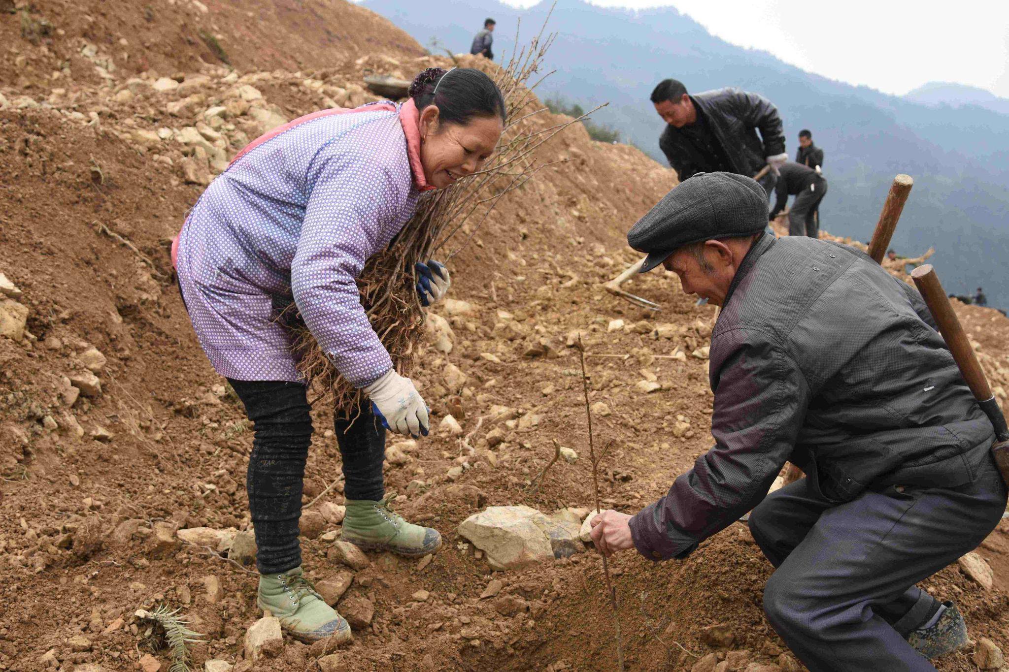 农村扶贫再提速,2019年农村三类人可获得909.78亿补贴