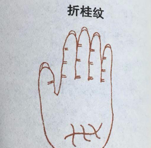 星座运势: 象征大富大贵以及名声地位非特别的手相掌纹, 有你吗?|手相|掌纹|星座_新浪新闻