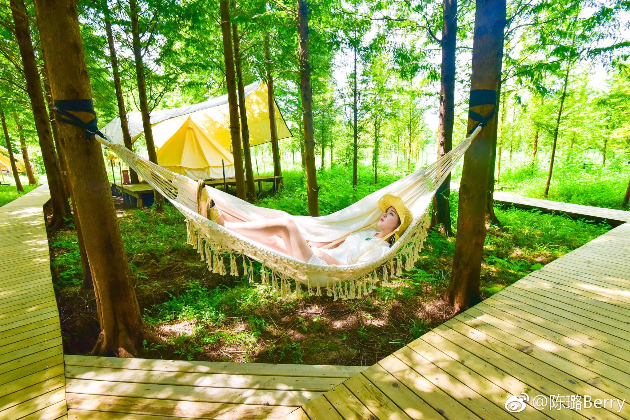 berry on the way | 莫干山酷暑难耐的夏天除了吹空调和冰西瓜不