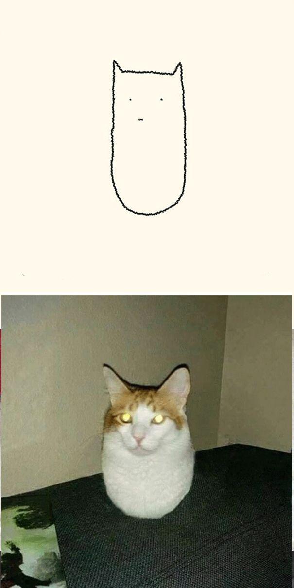 灵魂画手新作,猫真的是长这样,不信你来看