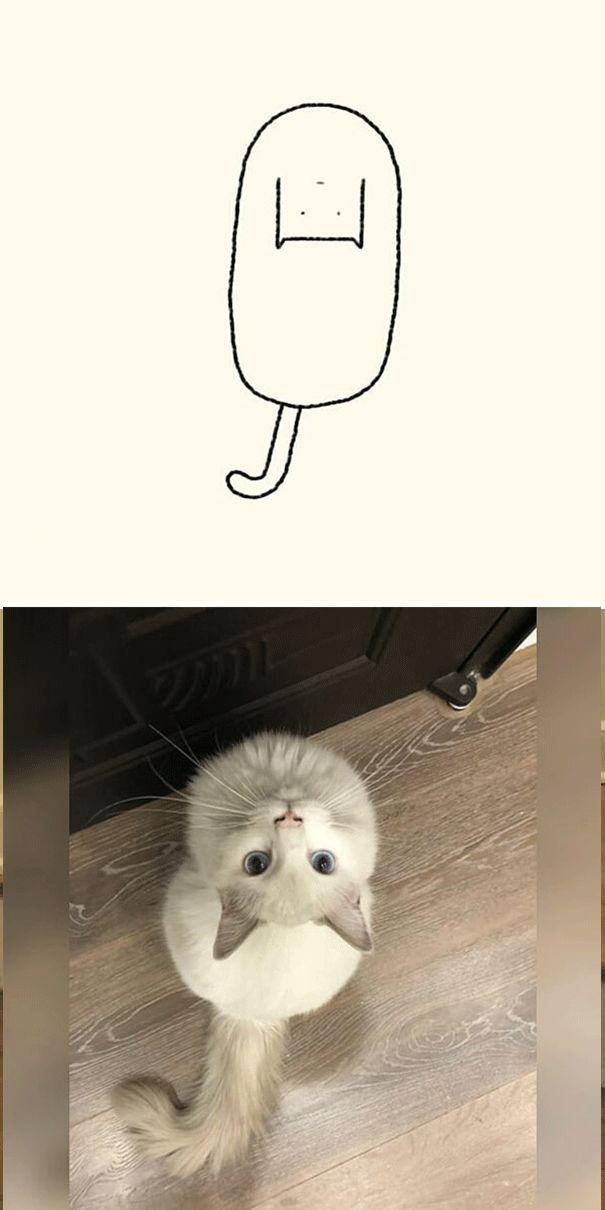 灵魂画手新作,猫真的是长这样,不信你来看