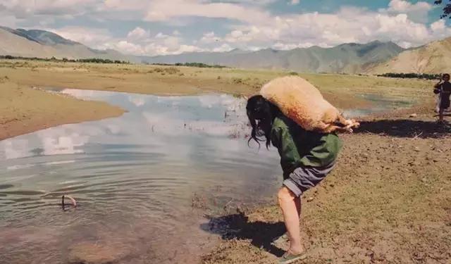抓住艺术的最后一根稻草盘点那些不疯魔不成活自杀的艺术家
