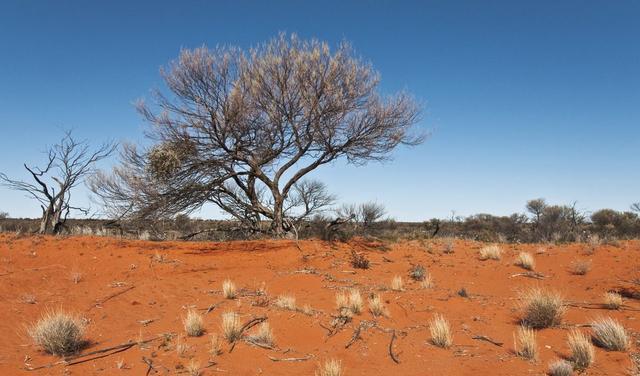 非常像非洲的撒哈拉沙漠,沙漠化威胁到南澳大利亚.