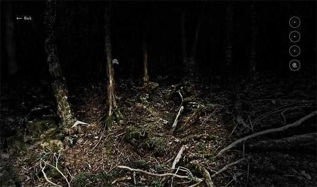 日本最神秘而恐怖的森林每年在这里死去的人数不清