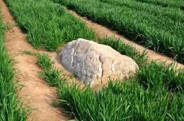 山东一座普通县城里藏有中国最矮的山,仅0.6米却无人敢"攀登"