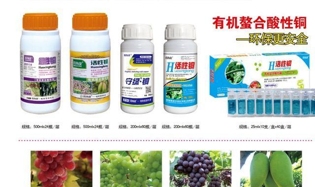 芒果露水斑主要为害果面,果面暗褐色斑点,怎么治