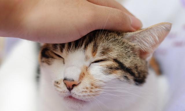 男生哪些细节一看就是情场高手?