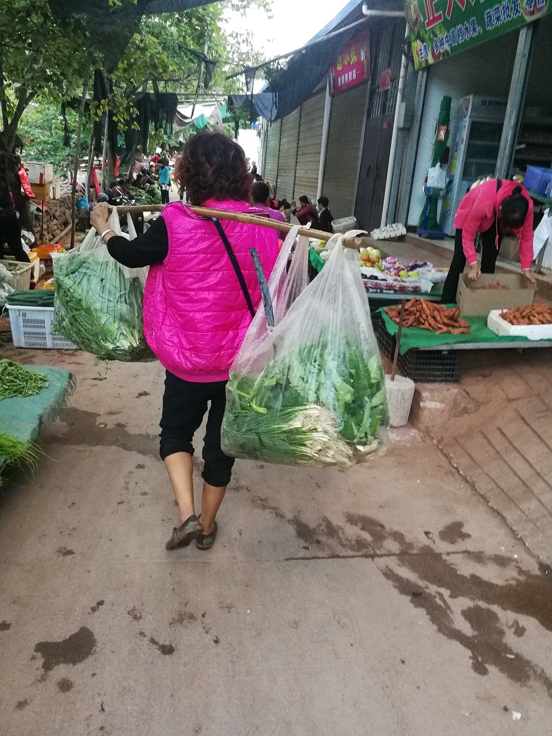 边陲小城的早市,山里农民用扁担挑来的稀罕物5元一斤,看看是啥