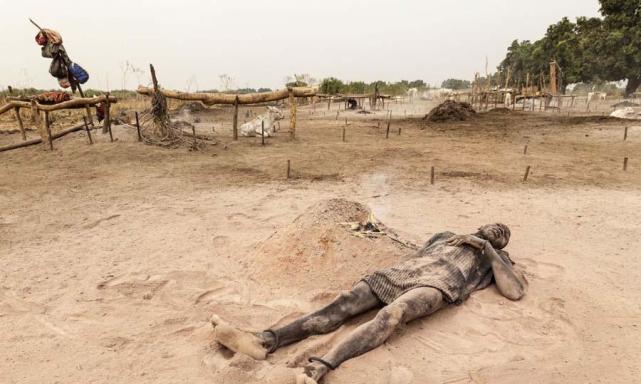 躺在牛粪烧后的灰烬上,可以去掉身上的跳蚤.