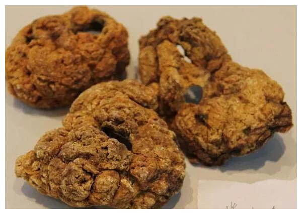 人体哪些部位有药用价值?|人中白|指甲|价值|友友|翳障_新浪新闻