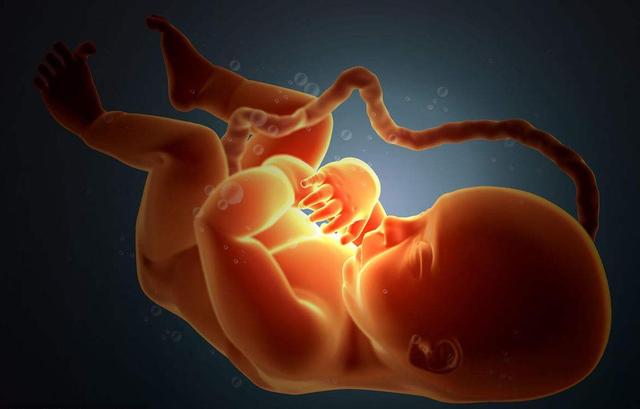 三观重塑:每个人胎儿时期,都会在妈妈肚子里这么做