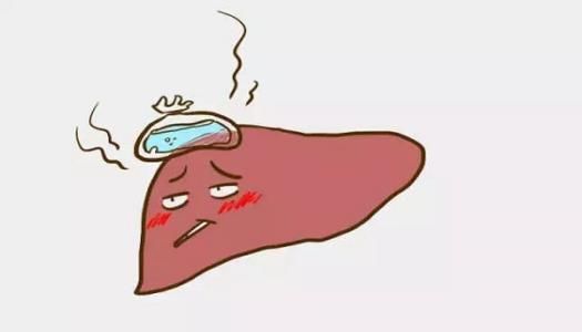 消化内科主任5大征兆暗示肝脏受损常喝3种茶可养肝护肝