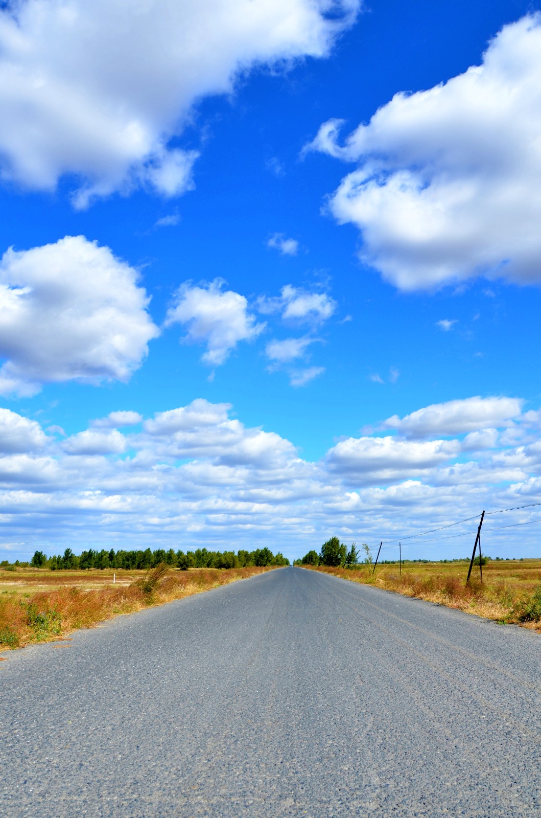 秋天的喜悦写在画上,多么美,通往库伦旗八家子的乡路,原创摄影