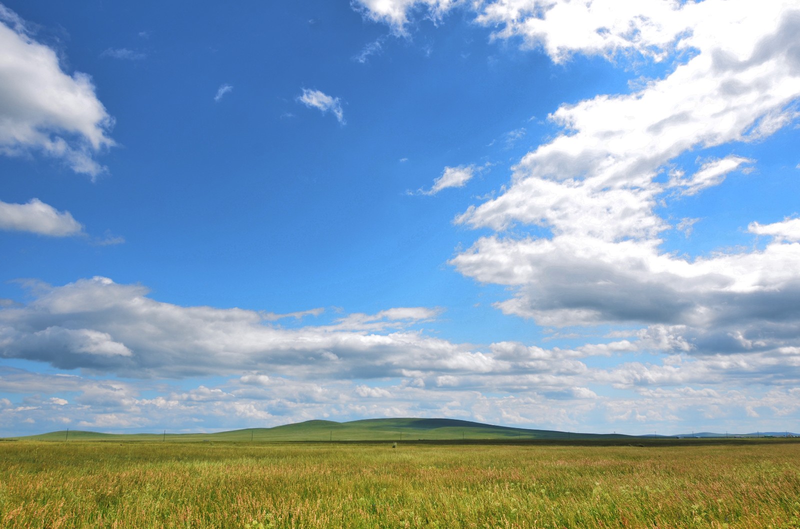 恬淡,是禅里开出的花,可以做桌面的乌拉盖草原风光【原创摄影】