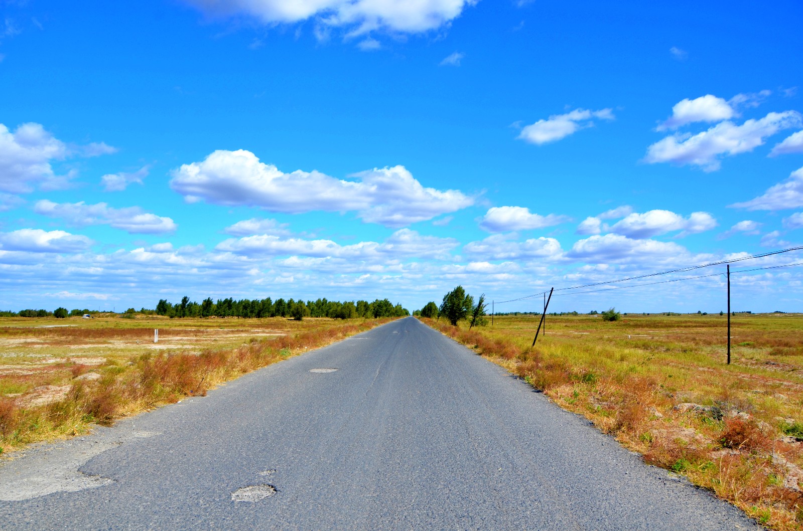 秋天的喜悦写在画上,多么美,通往库伦旗八家子的乡路,原创摄影