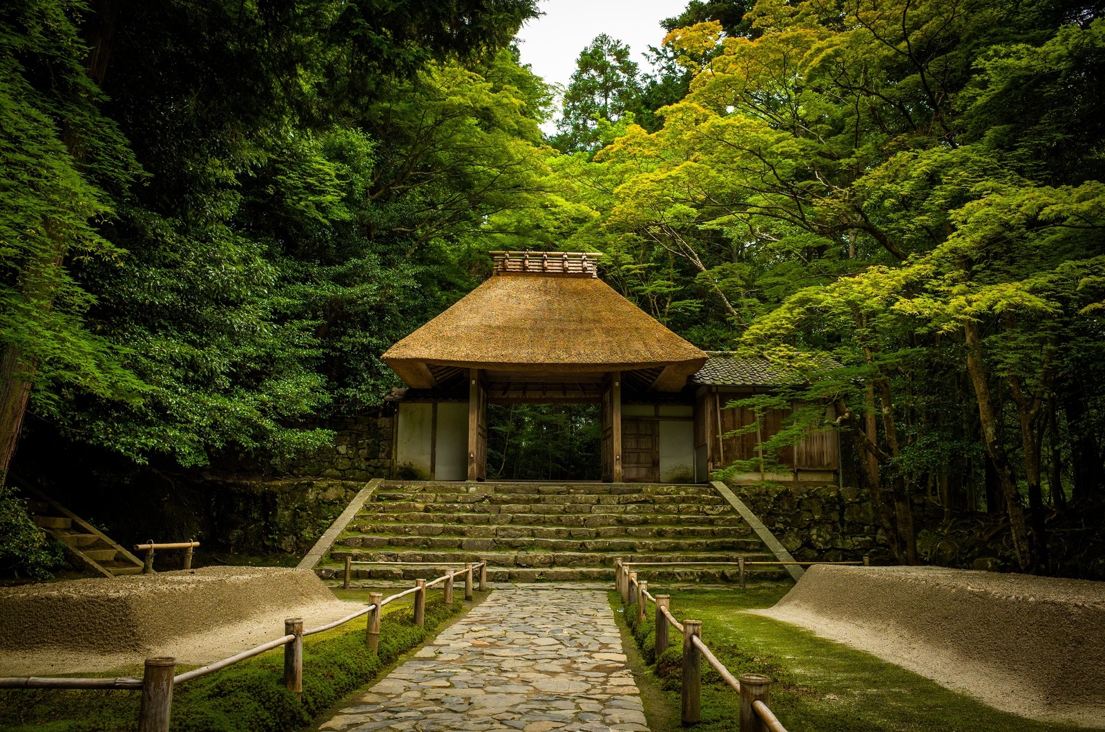 竹下忘言对紫茶全胜羽客醉流霞