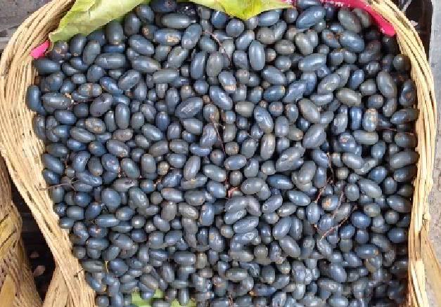大姐街头卖"黑色果子"20元一斤!路人:"稀罕物"不多见了!__财经头条