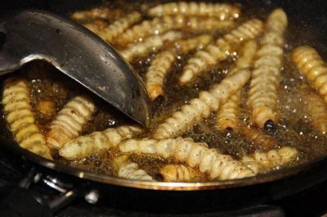 农村能吃的五种虫子,吃起来却能与城市菜肴相媲美?你敢吃吗?