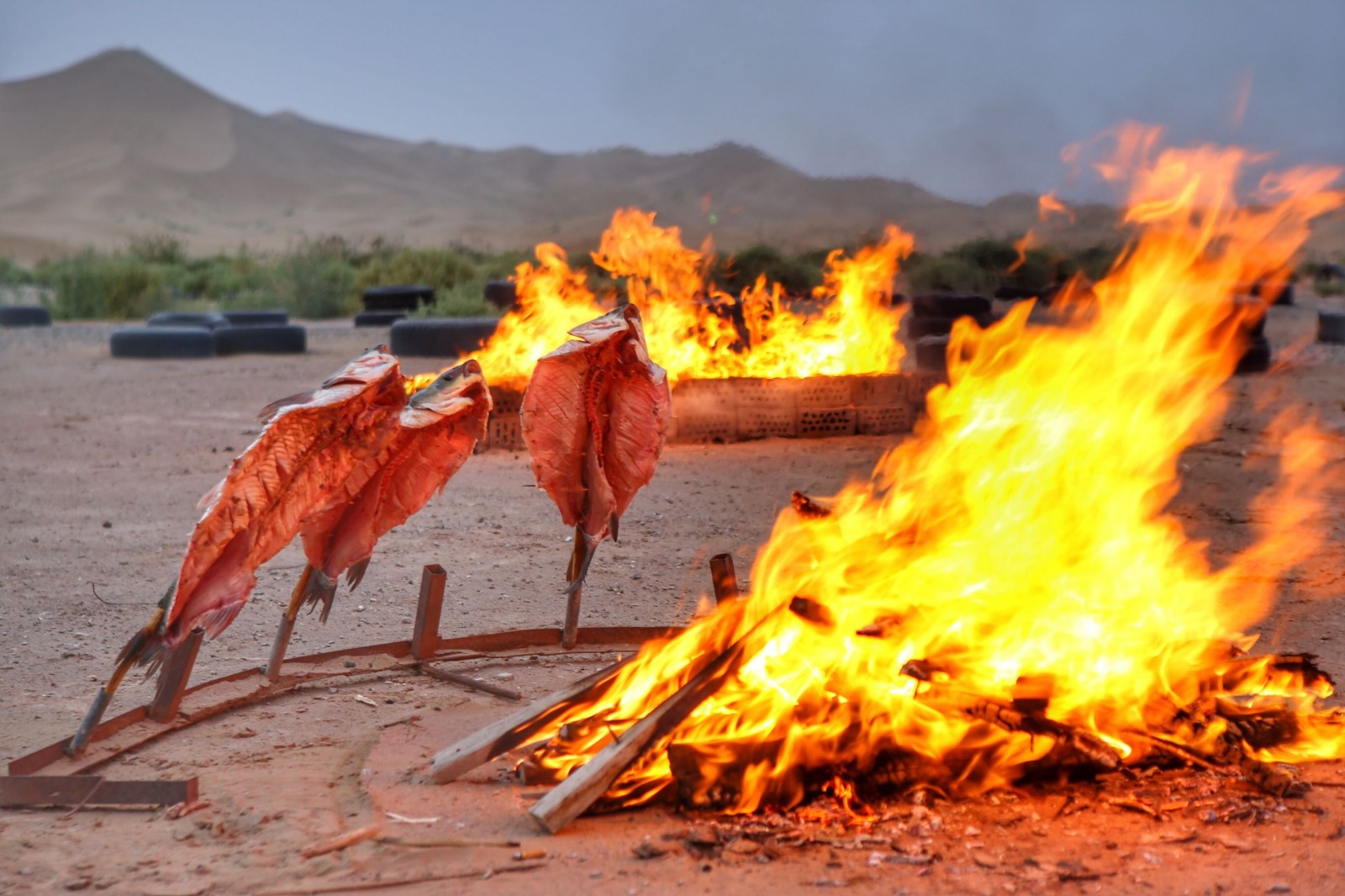 见识过南疆烧烤之乡的沙漠羊肉大串你还好意思说你吃过牙签串