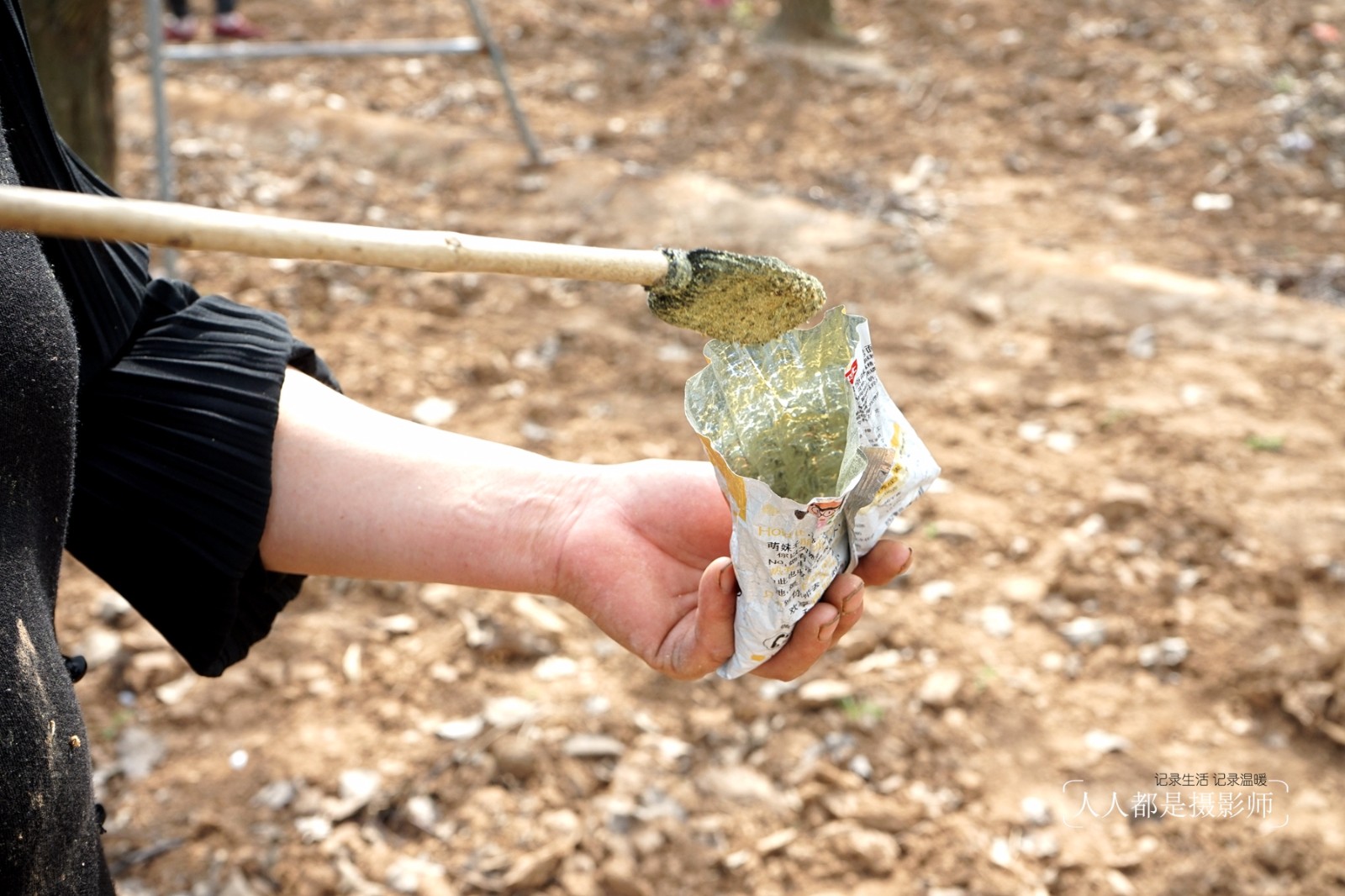 在花粉里蘸一下,上面就会粘上很多花粉,然后在涂抹到梨花上