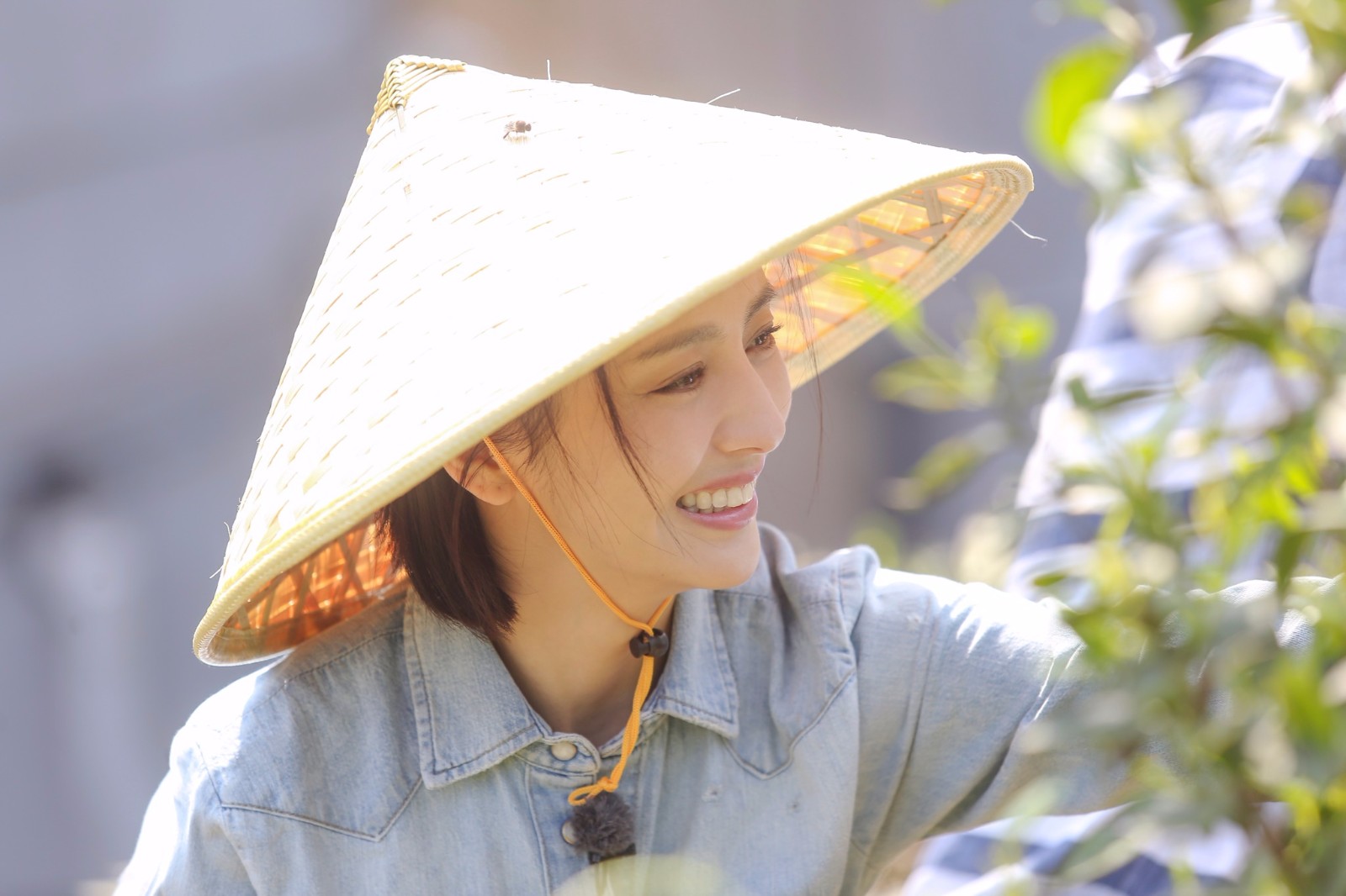 向往的生活,最美采茶姑娘佟丽娅!