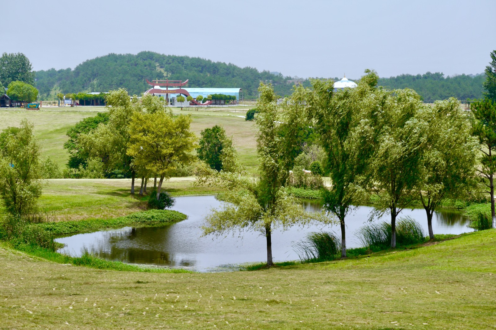 木兰草原风光武汉黄陂木兰草原风景区