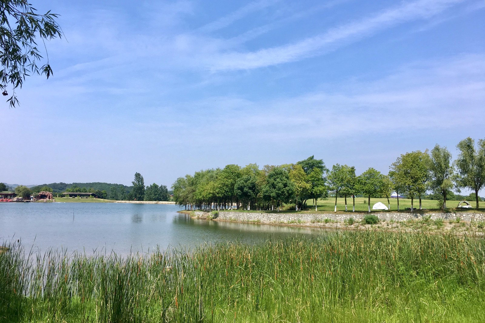 木兰草原风光武汉黄陂木兰草原风景区